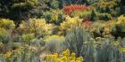 Flowers, Utah