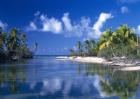 Cove Polynesia