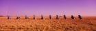 Cars In The Ground, Cadillac Ranch, Texas