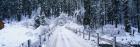 Snowy Bridge Lake Tahoe