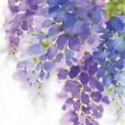 Wisteria I