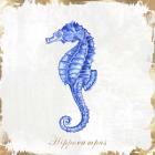 Blue Sea Horse