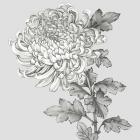 Grey Botanical I