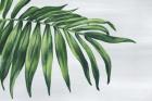 Tropical Leaf I