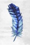 Indigo Feather I