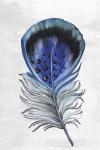 Indigo Feather III