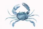 Blue Crab