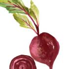 Beet