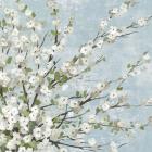 Fresh Pale Blooms II