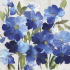 Cobalt Poppies I