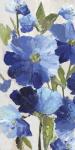 Cobalt Poppies II