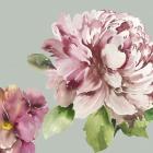 Pink Peony I