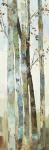 Towering Trees I