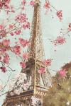 Paris in the Spring I