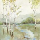 Calm River