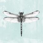 Dragonfly I