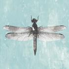 Dragonfly III