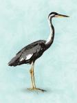 Seashore Bird I