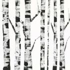 White Birch