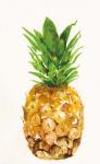 Pineapple I