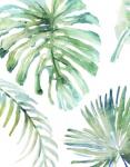 Palm Leaf Variation