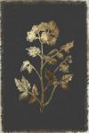 Botanical Gold on Black II