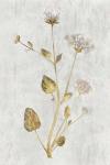 Botanical Gold on White I