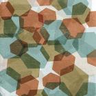 Hexagons I