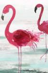 Beach Flamingoes