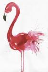 Flamingo Portrait I