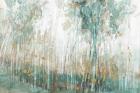 Forest Dream 01