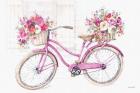 Obviously Pink 12A