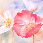 Watercolor Poppy Meadow Pastel II