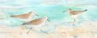 Sandpiper Beach Panel