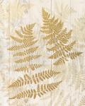 Golden Fern II