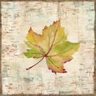 Nature Walk Leaves III