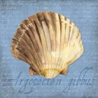 Oceanum Shells Blue V