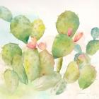 Cactus Garden I