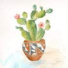 Cactus Pots II