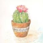 Cactus Pots IV
