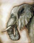 Elephant Portrait