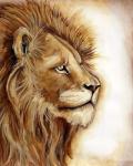 Lion Portrait