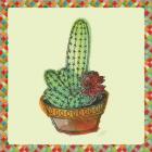 Rainbow Cactus III