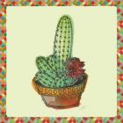 Rainbow Cactus III