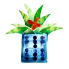 Colorful Cactus VII