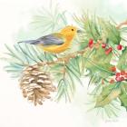 Winter Birds I Warbler