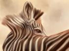 Zebra Looking Over Shoulder
