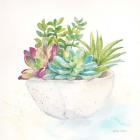 Sweet Succulent Pots II