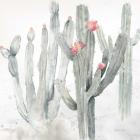 Cactus Garden Gray Blush II