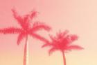Palm Trees in Pink